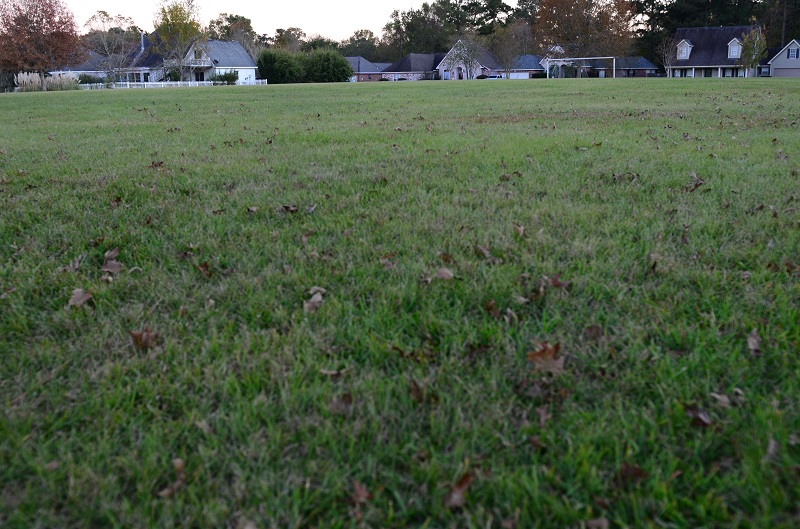 Soccer Field
